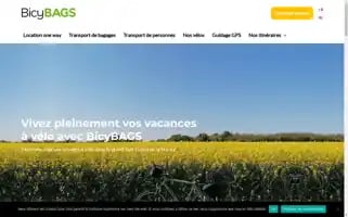 Bicybags.com Screenshot 2024-06-16 07:26:32
