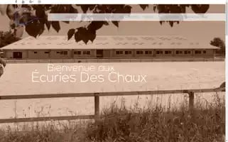 Ecuries-des-chaux.com Screenshot 2024-07-09 22:36:03