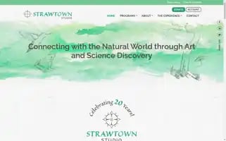 Strawtownstudio.org Screenshot 2024-06-11 20:43:52
