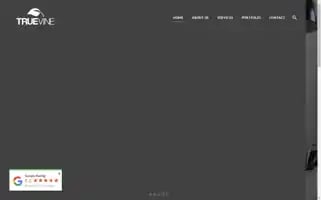 Truevinewebdesign.com Screenshot 2024-07-03 01:20:55