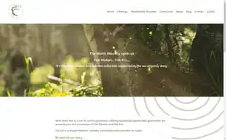 Ninthwavearts.ca Screenshot 2024-07-02 16:19:03