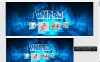 Vnpro.org Screenshot 2024-06-25 01:06:41