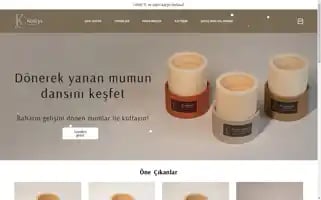 Koslys.com Screenshot 2024-05-27 12:48:11