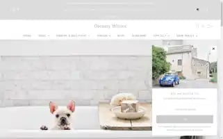 Dreamywhitesatelier.com Screenshot 2024-05-05 13:08:19