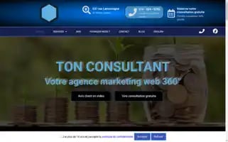 Tonconsultant.ca Screenshot 2024-06-17 05:35:06