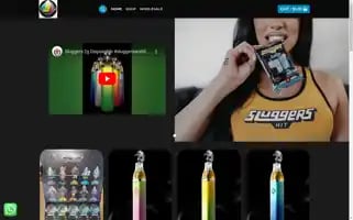 Sluggershitdisposable.com Screenshot 2024-05-27 08:11:10