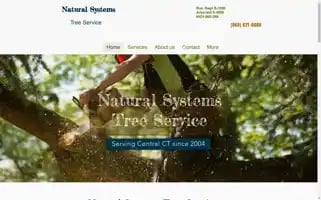Naturalsystemstreeremoval.com Screenshot 2024-07-02 19:42:06