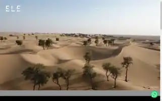 Eleinterior.com Screenshot 2024-06-28 10:56:06