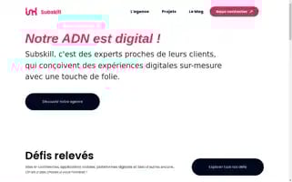 Subskill.com Screenshot 2024-06-28 01:38:33