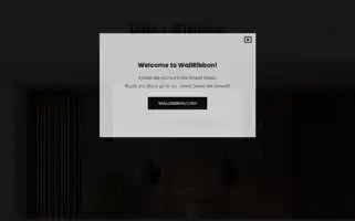 Wallribbon.be Screenshot 2024-05-23 01:31:45