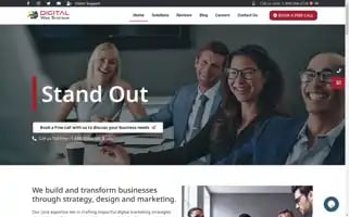 Digitalwebsystems.com Screenshot 2024-06-17 00:18:41