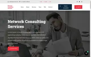 Thenetworkconsulting.com Screenshot 2024-05-27 01:24:05
