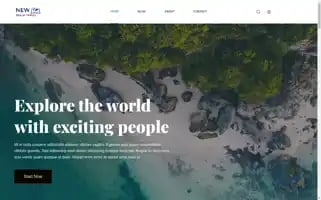 Newrealmtravel.com Screenshot 2024-04-15 14:03:50