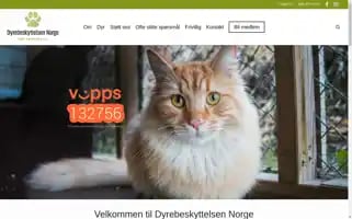 Dnst.no Screenshot 2024-07-02 14:23:17