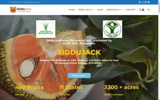 Siddujack.com Screenshot 2024-05-24 05:23:06