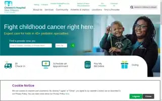 Chnola.org Screenshot 2024-07-01 16:37:16