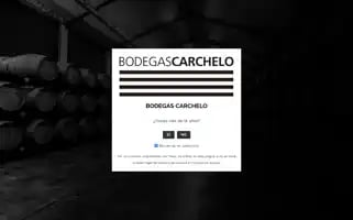 Carchelo.com Screenshot 2024-06-11 15:51:01