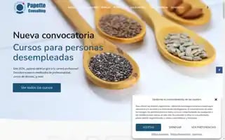 Papetteconsulting.com Screenshot 2024-06-19 01:25:54