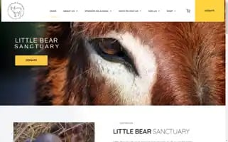 Littlebearsanctuary.org Screenshot 2024-07-02 04:05:41