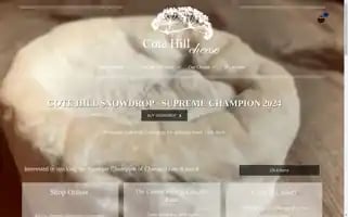 Cotehill.com Screenshot 2024-06-11 07:57:50