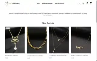 Amyaccessories.com Screenshot 2024-05-21 11:01:06