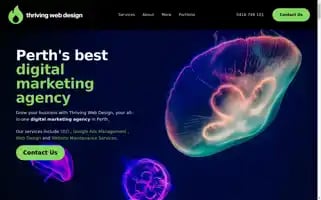 Thrivingwebdesign.com Screenshot 2024-06-14 21:43:46