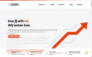 Vizien.nl Screenshot 2024-07-05 03:33:30
