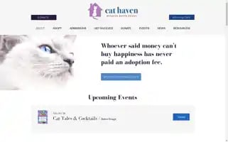 Cathaven.org Screenshot 2024-07-06 11:51:21