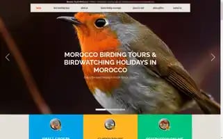 Birdingtoursmorocco.com Screenshot 2024-04-17 16:14:36