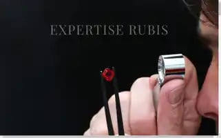 Expertiserubis.com Screenshot 2024-06-18 03:10:21