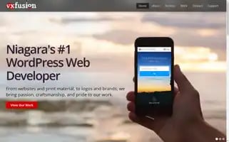 Vxfusion.com Screenshot 2024-06-14 00:44:41