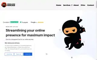 Webcareninjas.com Screenshot 2024-06-26 08:46:31
