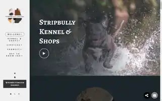 Stripbullykennel.com Screenshot 2024-04-18 13:17:36