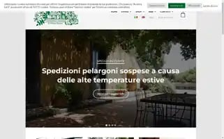 Malvarosa.it Screenshot 2024-07-04 13:19:27