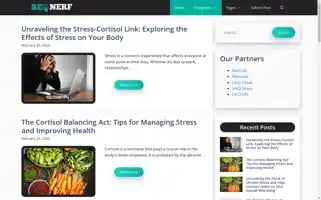 Seonerf.com Screenshot 2024-06-26 18:05:54