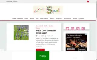 Howthingssmell.com Screenshot 2024-06-17 18:12:58