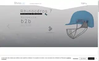 Rhinolab.be Screenshot 2024-06-14 22:52:55