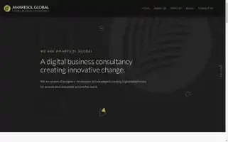 Amaresolglobal.com Screenshot 2024-06-28 19:51:18