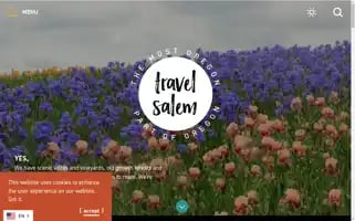 Travelsalem.com Screenshot 2024-05-14 15:15:56