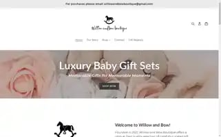 Willowandbowboutique.com Screenshot 2024-04-18 08:05:34