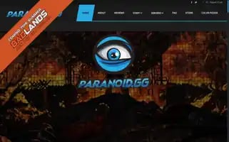 Paranoid.gg Screenshot 2024-05-16 11:44:09