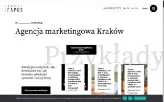 Agencjamarketingowa.com Screenshot 2024-06-30 18:06:21