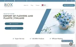 Rosehill-export.nl Screenshot 2024-06-18 09:44:45