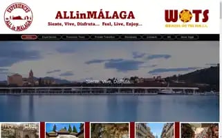 Allinmalaga.com Screenshot 2024-06-15 14:36:04