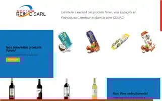 Reinic-sarl.com Screenshot 2024-05-21 13:50:24