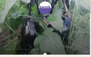 Kwekerijkweek.be Screenshot 2024-05-03 10:44:44