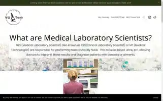 Mlstravels.com Screenshot 2024-04-16 11:39:51