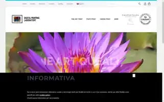 Fineartprinted.com Screenshot 2024-06-12 03:45:41