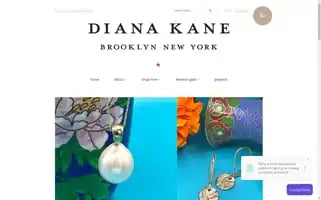 Dianakane.com Screenshot 2024-05-04 19:49:58