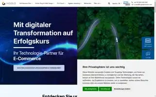 Ingoldsolutions.com Screenshot 2024-07-08 00:15:08